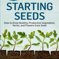 starting seeds